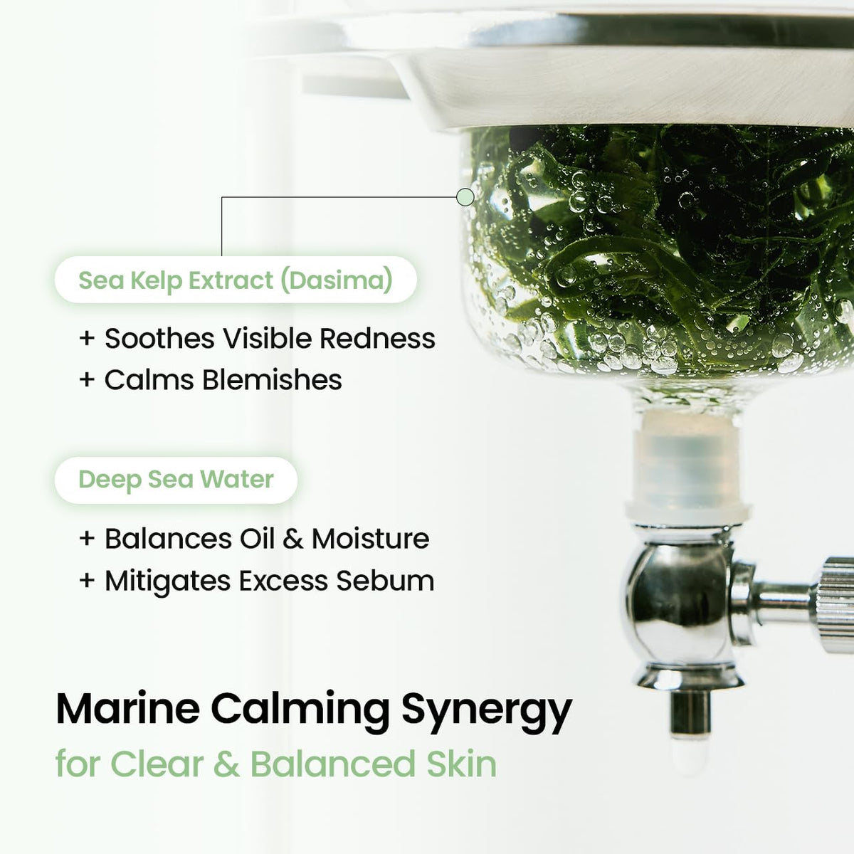 BIODANCE Bio-Collagen Real Deep Mask, Hydrating Overnight Hydrogel Face Mask, Pore Minimizing