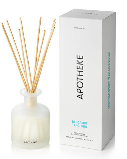 Apotheke Scented Reed Diffuser for Home, Charcoal, 10 Reed Sticks