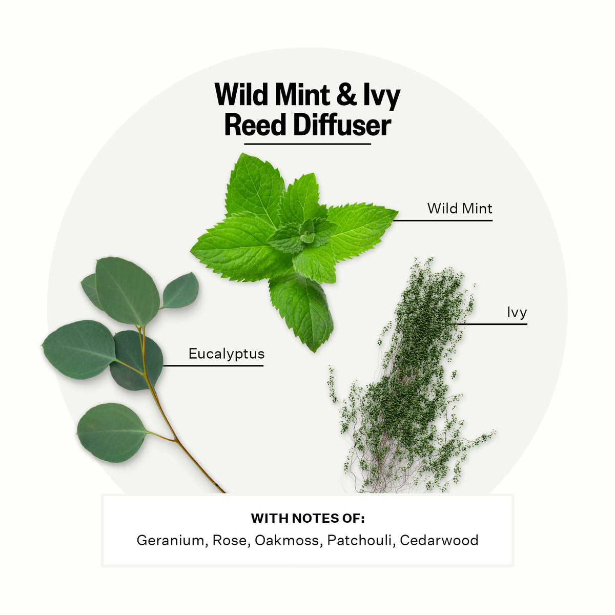 Apotheke Scented Reed Diffuser for Home, Charcoal, 10 Reed Sticks