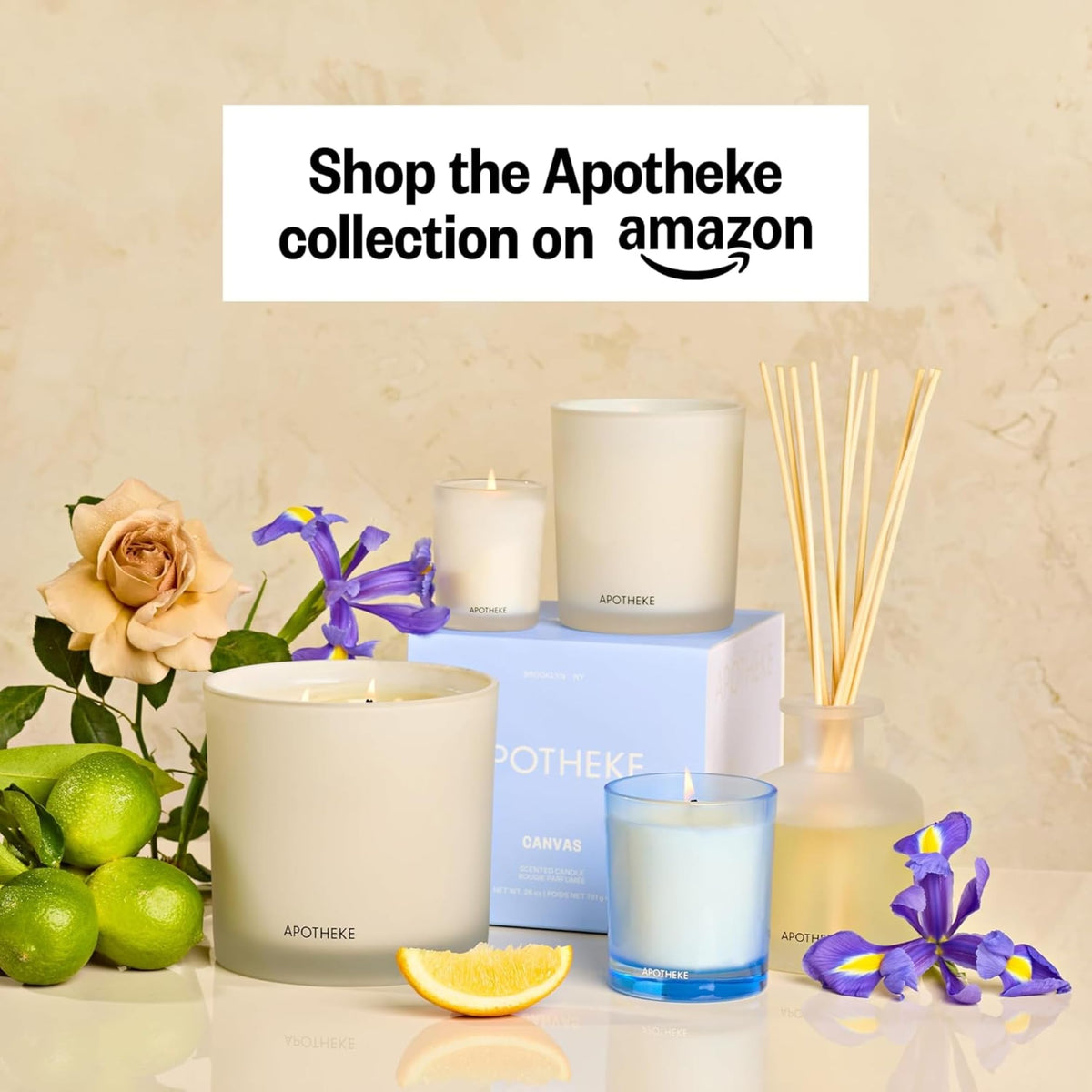 Apotheke Scented Reed Diffuser for Home, Charcoal, 10 Reed Sticks