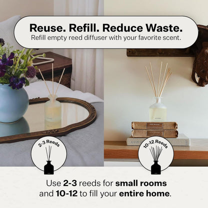 Apotheke Scented Reed Diffuser for Home, Charcoal, 10 Reed Sticks