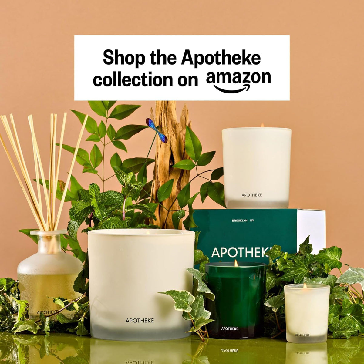 Apotheke Scented Reed Diffuser for Home, Charcoal, 10 Reed Sticks