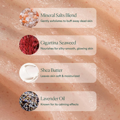 OSEA Salts of the Earth Body Scrub 12 oz - Pink Himalayan Gentle Salt Scrub