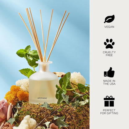 Apotheke Scented Reed Diffuser for Home, Charcoal, 10 Reed Sticks