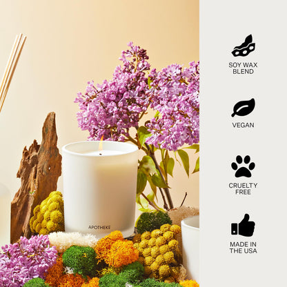 Apotheke Signature Scented Candles for Home, Charcoal - 10.5 Oz