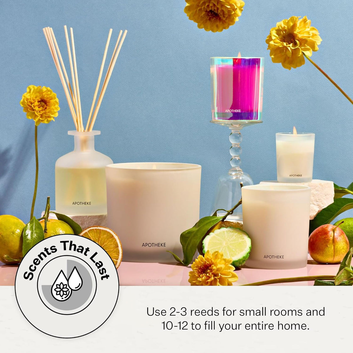 Apotheke Scented Reed Diffuser for Home, Charcoal, 10 Reed Sticks