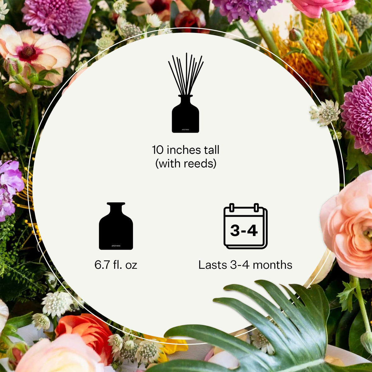 Apotheke Scented Reed Diffuser for Home, Charcoal, 10 Reed Sticks