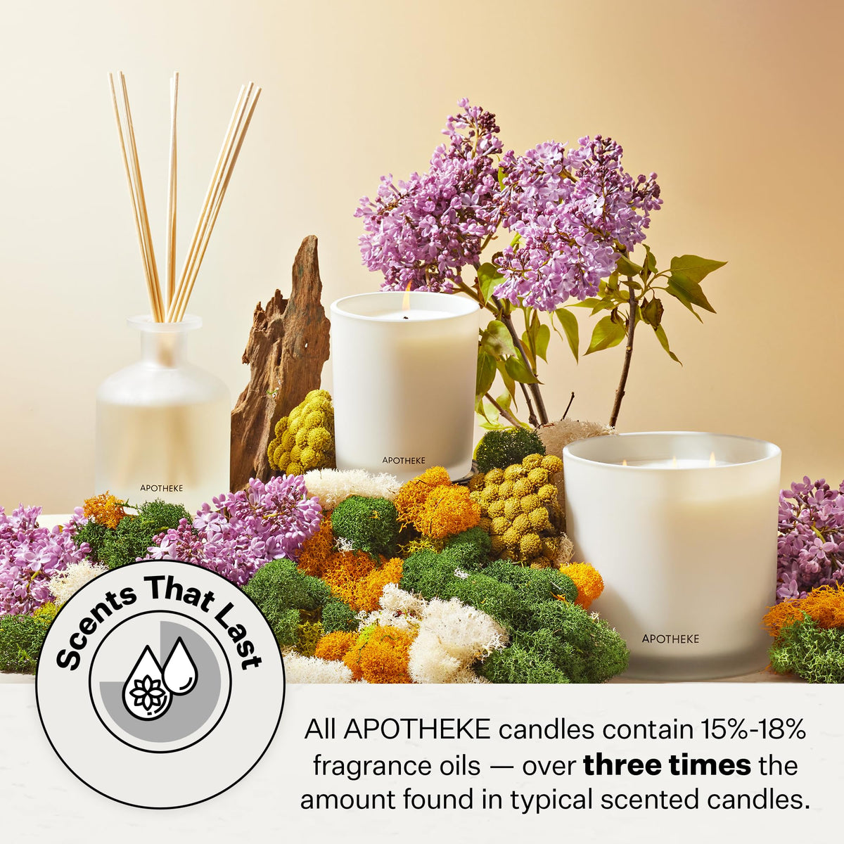 Apotheke Signature Scented Candles for Home, Charcoal - 10.5 Oz