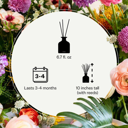 Apotheke Scented Reed Diffuser for Home, Charcoal, 10 Reed Sticks