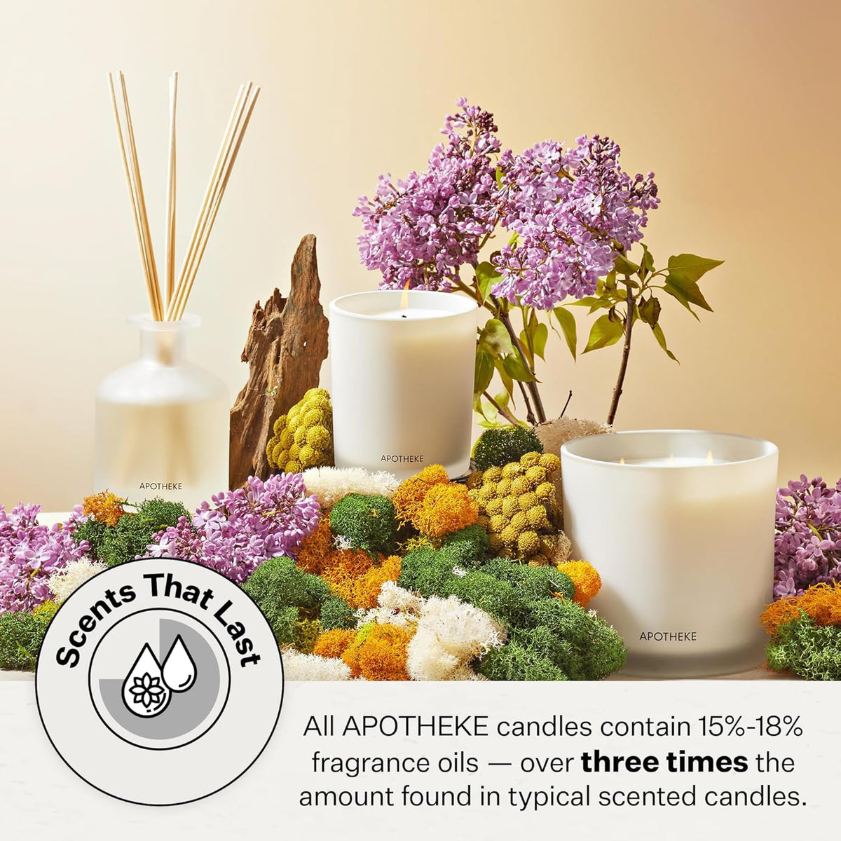 Apotheke Signature Scented Candles for Home, Charcoal - 10.5 Oz