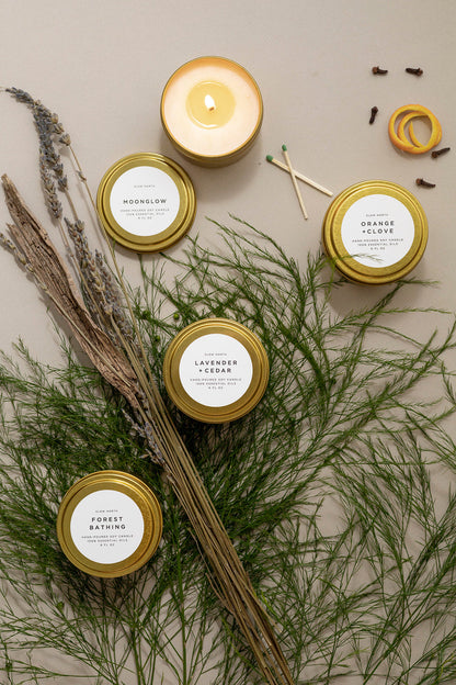 Slow North Cozy Candle Collection - 4 Pack