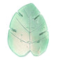 Crystal Monstera