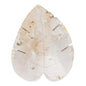 Crystal Monstera