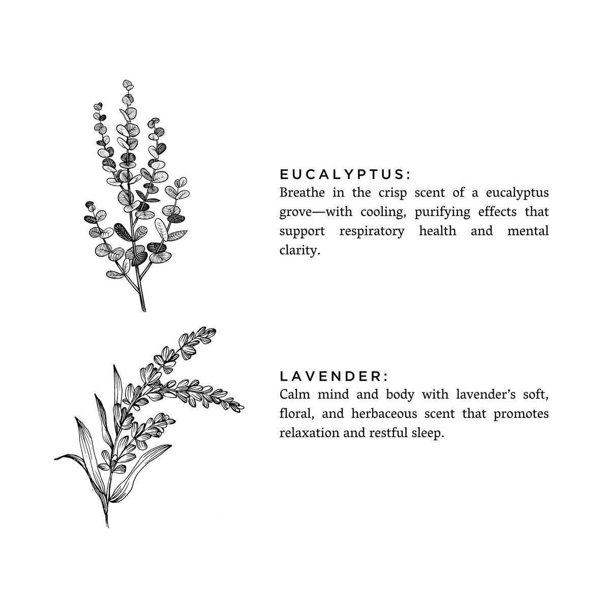 Eucalyptus + Lavender - Natural Bar Soap