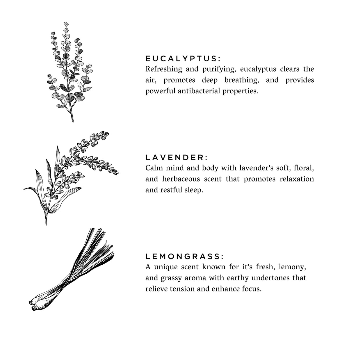 Slow North Linen Spray - Shangri-La - Eucalyptus + Lavender + Lemongrass